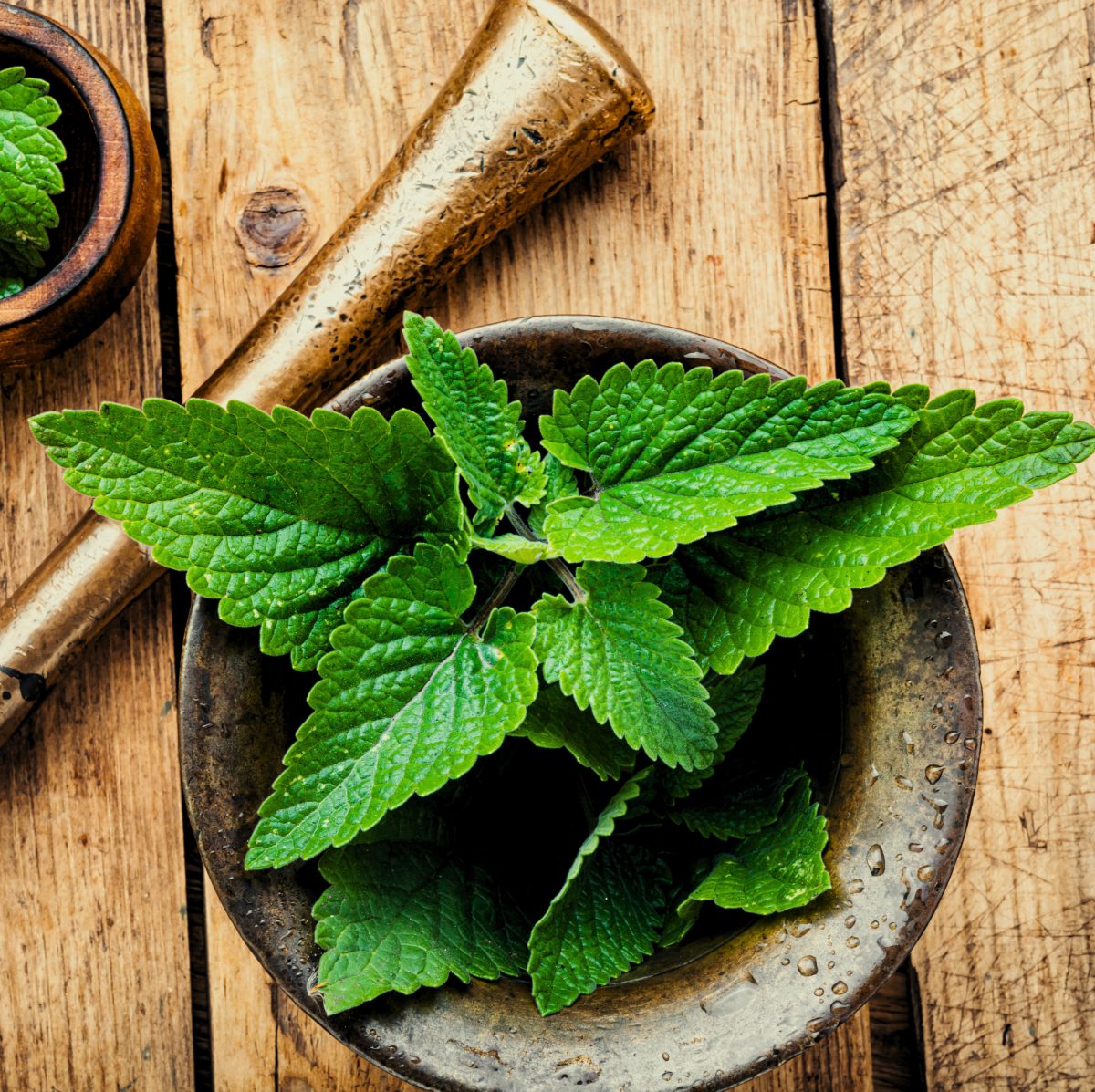 Fresh mint leaves in a stone mortar